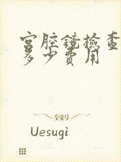宫腔镜检查大概多少费用