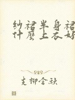 纱裙半身裙搭配什么上衣好看