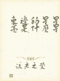 东边的星星特别亮是什么星