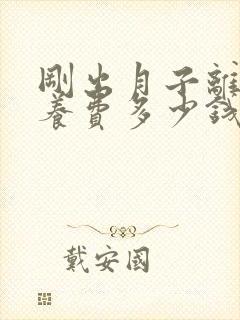 刚出月子离婚抚养费多少钱一个月