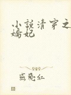 小说清穿之太子娇妃