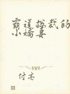 霸道总裁的天价小娇妻