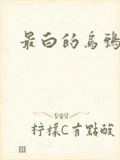 最白的乌鸦小说