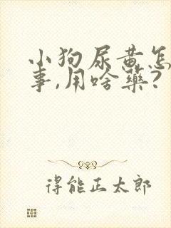 小狗尿黄怎么回事,用啥药?