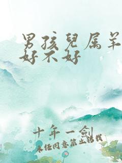 男孩儿属羊的命好不好