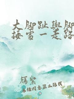 大脚趾与脚掌连接处一走路就疼