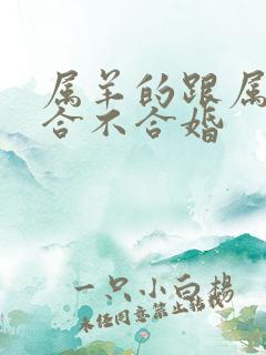 属羊的跟属兔的合不合婚