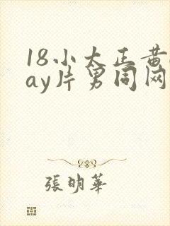 18小太正黄gay片男同网站