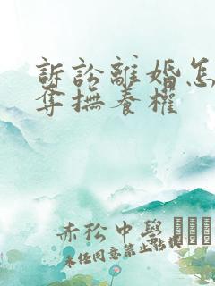 诉讼离婚怎样争夺抚养权