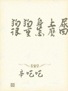 狗狗身上尿骚味很重怎么回事