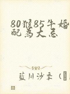 80猴85牛婚配为大忌