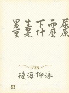 男生下面尿骚味重是什么原因