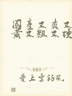 国产又爽又大又黄又粗又硬视频