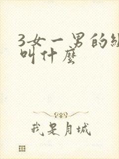 3女一男的组合叫什么