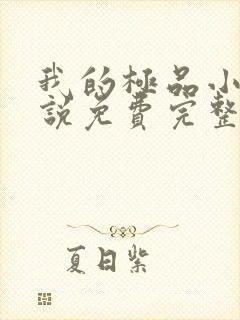 我的极品小姨小说免费完整版txt下载