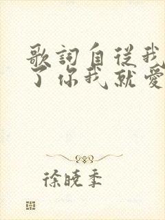 歌词自从我认识了你我就爱上你是哪一首歌