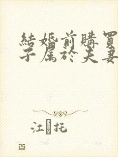 结婚前购买的房子属于夫妻共同财产吗