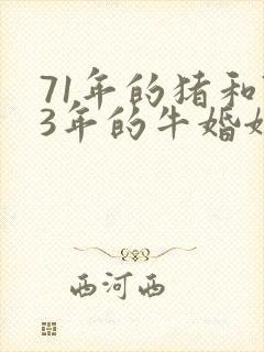 71年的猪和73年的牛婚姻怎么样