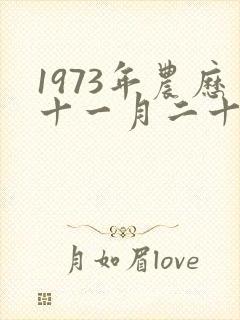 1973年农历十一月二十四是什么星座