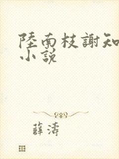 陆南枝谢知衡的小说