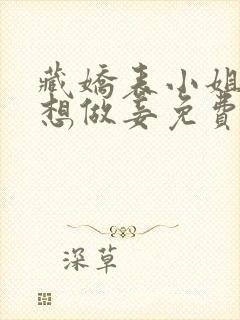 藏娇表小姐她不想做妾免费