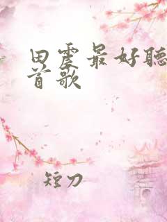 田震最好听的十首歌