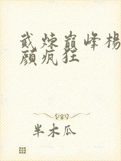 武炼巅峰杨开苏颜疯狂