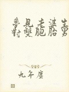 梦见老婆生了一对双胞胎男孩