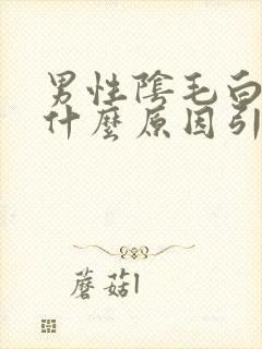 男性阴毛白了是什么原因引起