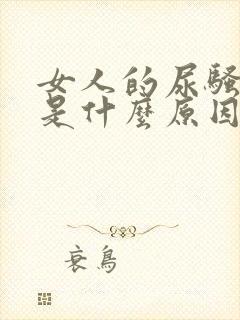 女人的尿骚味重是什么原因