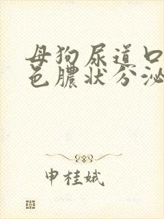 母狗尿道口有黄色脓状分泌物