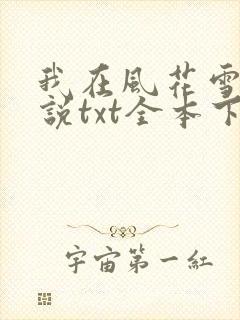 我在风花雪月小说txt全本下载