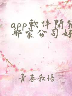app软件开发哪家公司好