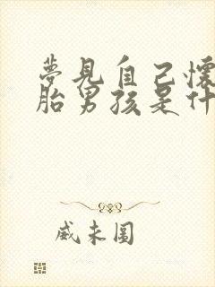 梦见自己怀双胞胎男孩是什么意思