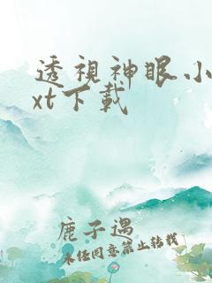 透视神眼小说txt下载