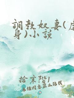 调教奴妻(虐女身)小说