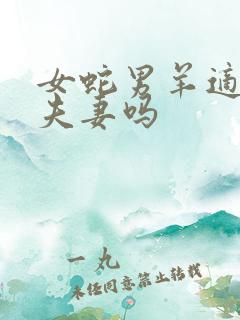 女蛇男羊适合做夫妻吗