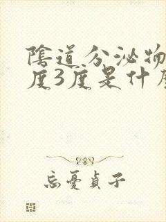 阴道分泌物清洁度3度是什么意思