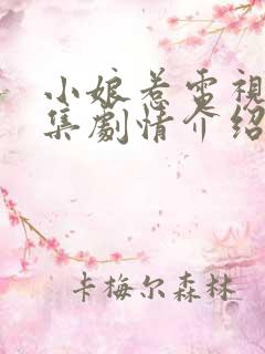 小娘惹电视剧分集剧情介绍