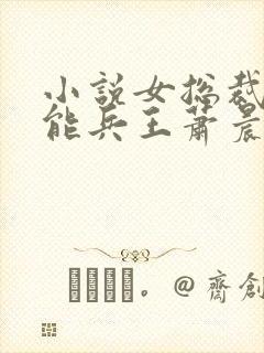 小说女总裁的全能兵王萧晨全文