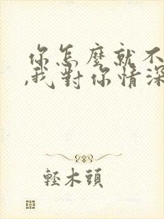 你怎么就不明白,我对你情深似海歌词