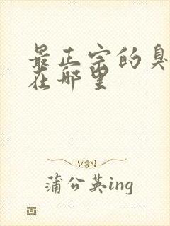 最正宗的臭豆腐在哪里