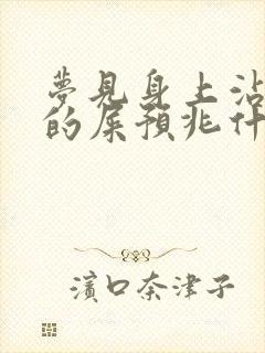 梦见身上沾自己的屎预兆什么