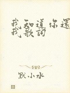 我知道你还爱着我歌词