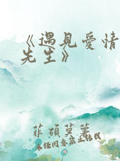 《遇见爱情的利先生》