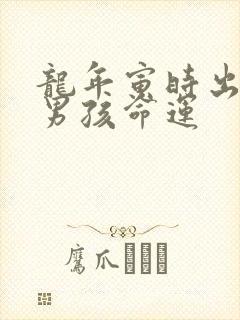 龙年寅时出生的男孩命运