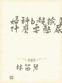 妇科b超检查为什么要憋尿