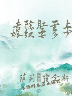 去除肚子上的妊娠纹要多少钱