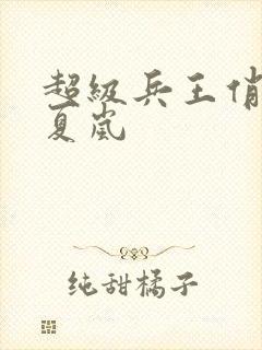 超级兵王俏总裁夏岚