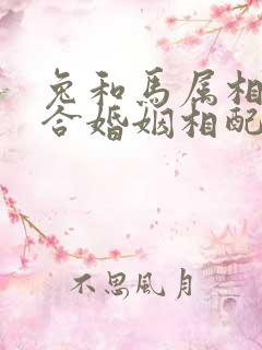 兔和马属相合不合婚姻相配